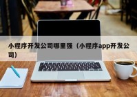 小程序开发公司哪里强（小程序app开发公司）